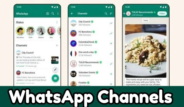 WhatsApp Channels